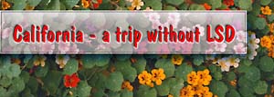 California, a Trip
without LSD