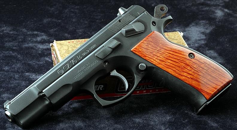 australian silky oak 02