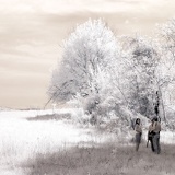 CRW 0088