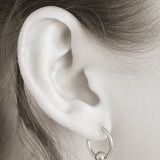 ear6627