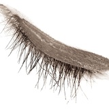 brushstroke