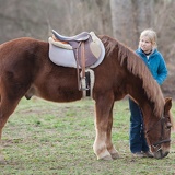 girl and pony 8344