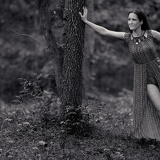 leaning tree DSC2814web