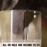 buttermilk7713