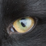 eyeproblem2398