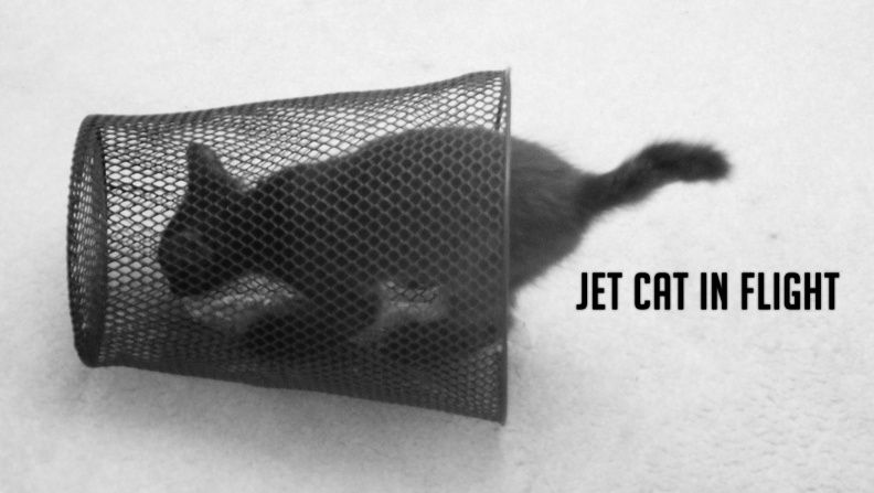jetcatDSIR0313
