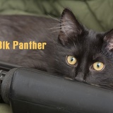 riflecatblkpanther8700