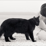 winter cat 0844