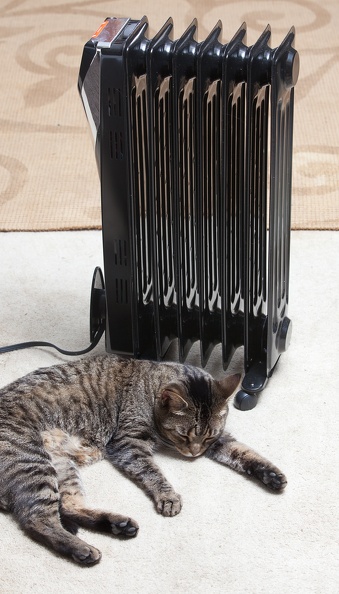 heater_cat_2452web.jpg