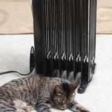 heater cat 2452web