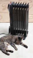 heater cat 2452web