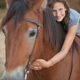horse hug 9405