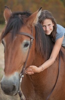 horse hug 9405