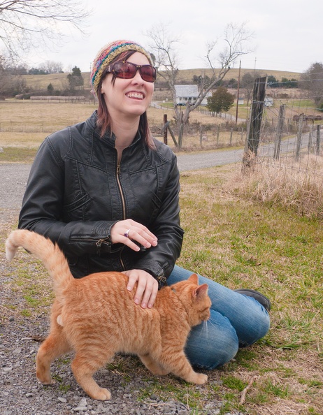 orangecat_P1010519.jpg