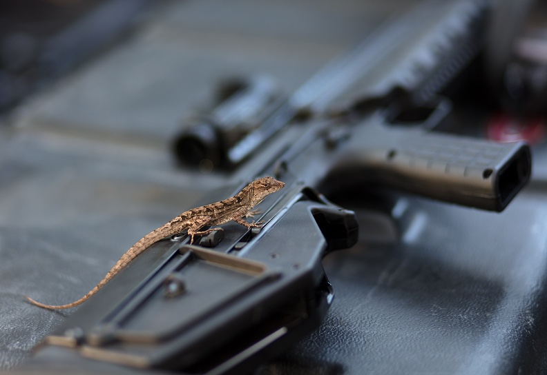 rifle lizard D6A7495