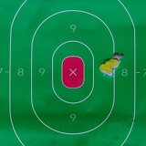 25yard target 6788