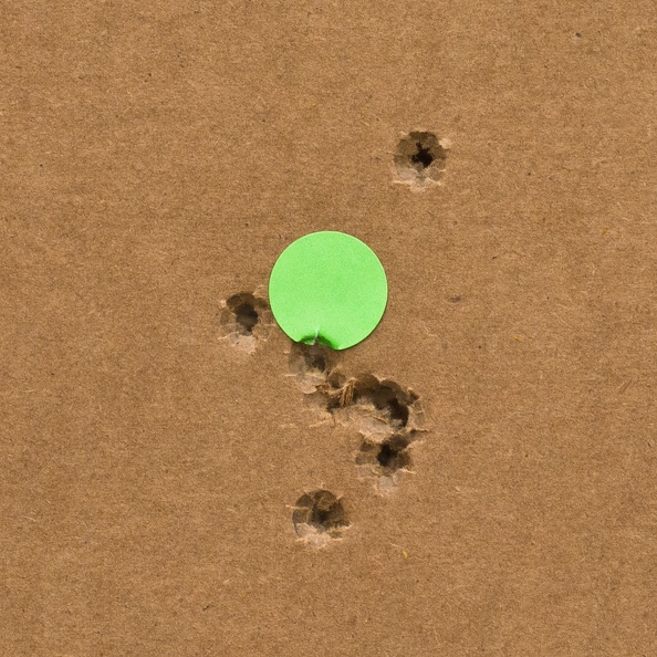 XR9_group_1010743.jpg