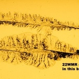 22WMR dynapoint Maximag 9955