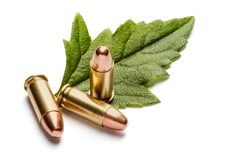 OATH 25ACP green D6A1867web