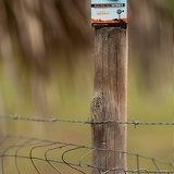 australian outback 223 DSC0218web