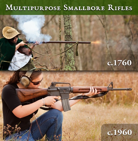 multipurpose smallbore rifle 4487 0642web