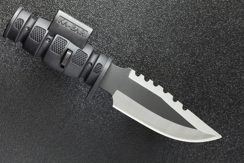 laserlyte black bayonet 1063 edited web