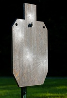 bluegrass steel silhouette D6A5070web
