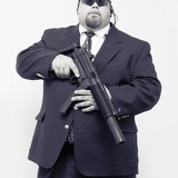 bodyguard