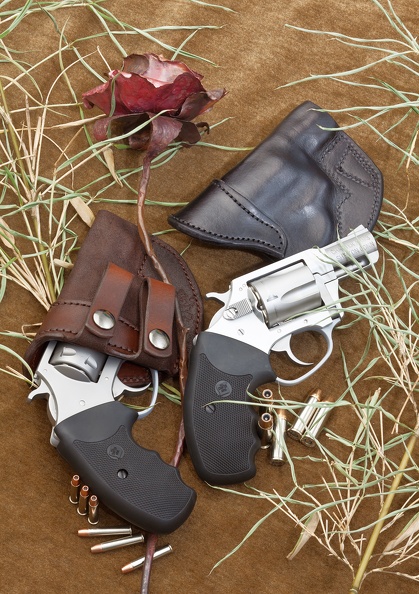 revolvers_9405web.jpg