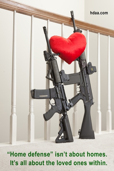 home_defense_3914web-hdaa.jpg