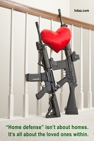 home defense 3914web-hdaa