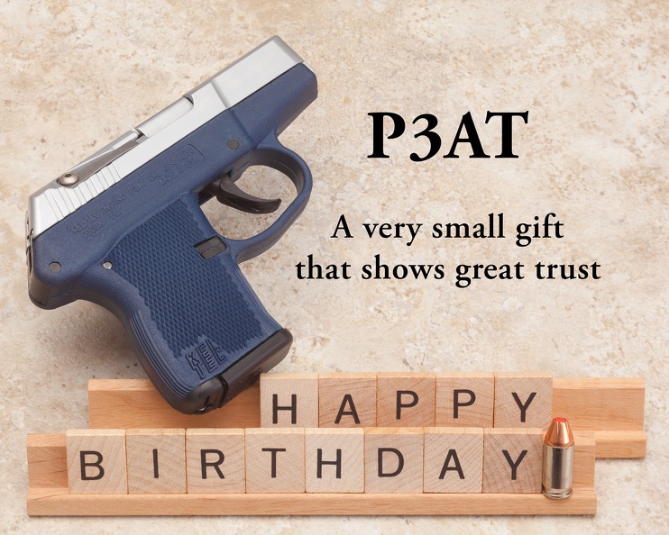P3AT birthday 1495