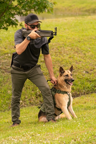 RDB-S_dog_DSC8521web.jpg