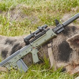 RFB boar 0628