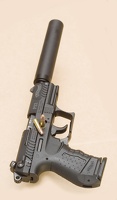 p22suppressed