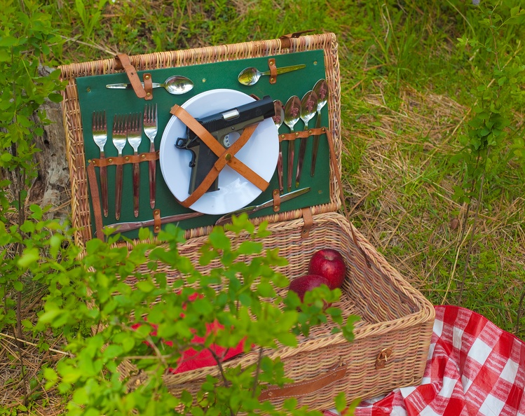 picnic basket 4833