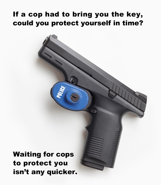 police_gun_8909web.jpg