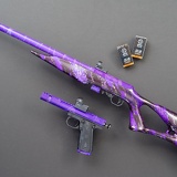 purple guns DSC3689web