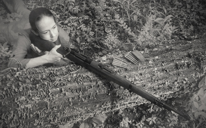 rifle behind cover 2361web