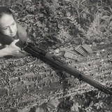 rifle behind cover 2361web