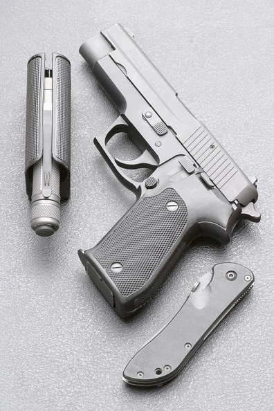 sig220.jpg