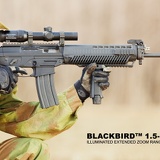 sig445 blackbird 5567