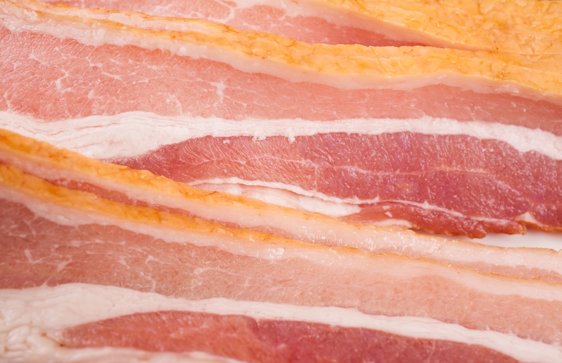 bacon 8146
