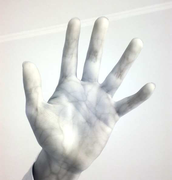 colorIRhandDSIR0119_1.jpg