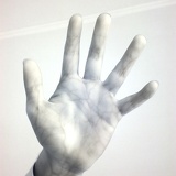 colorIRhandDSIR0119 1