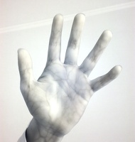 colorIRhandDSIR0119 1