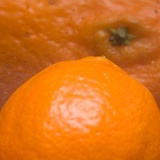 tangerine2505