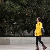 yellow tourist D6A8841web