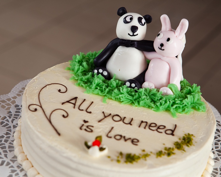 love cake 0269web