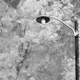 streetlight0220